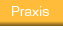 Praxis
